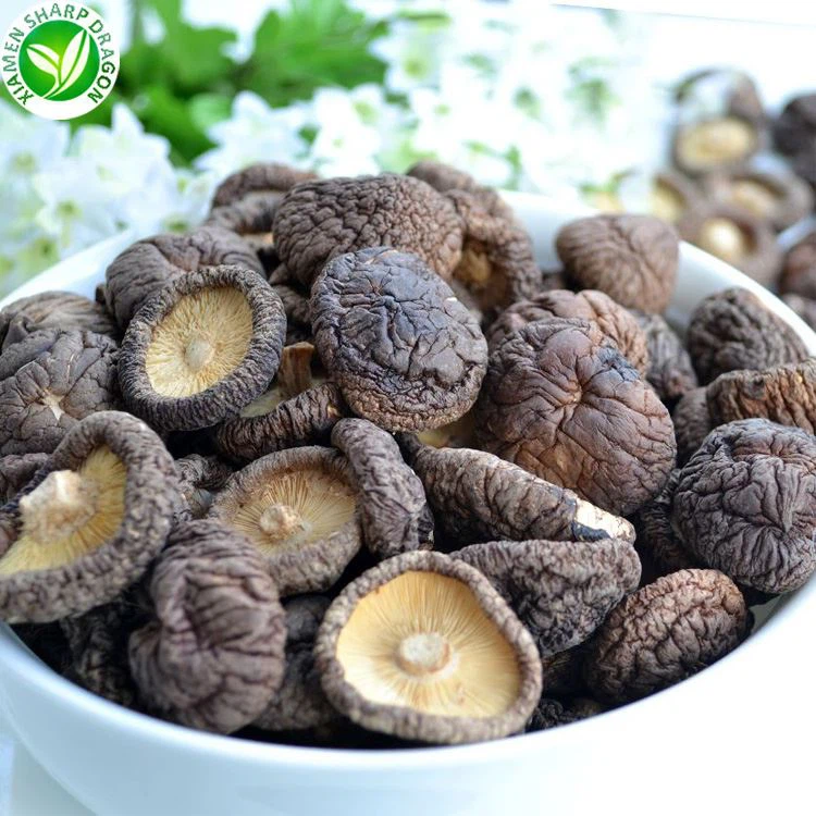 shiitake mushrooms wholesale