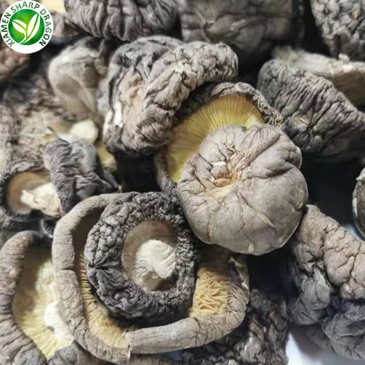 dried shiitake mushrooms near me