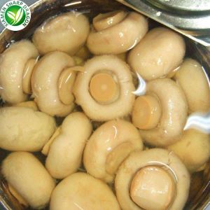 Proveïdors de bolets en conserva de Champignon