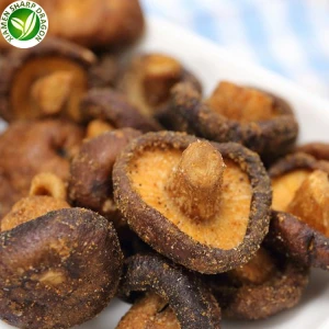 Xips de xampinyons shiitake