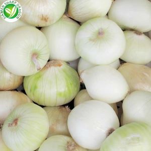 Cebes congelades en venda