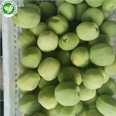 Fruit de kiwi congelat comprar en línia