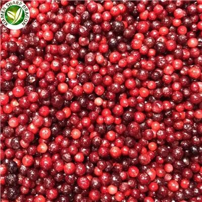 Bulk IQF Frozen Lingonberry de bona qualitat
