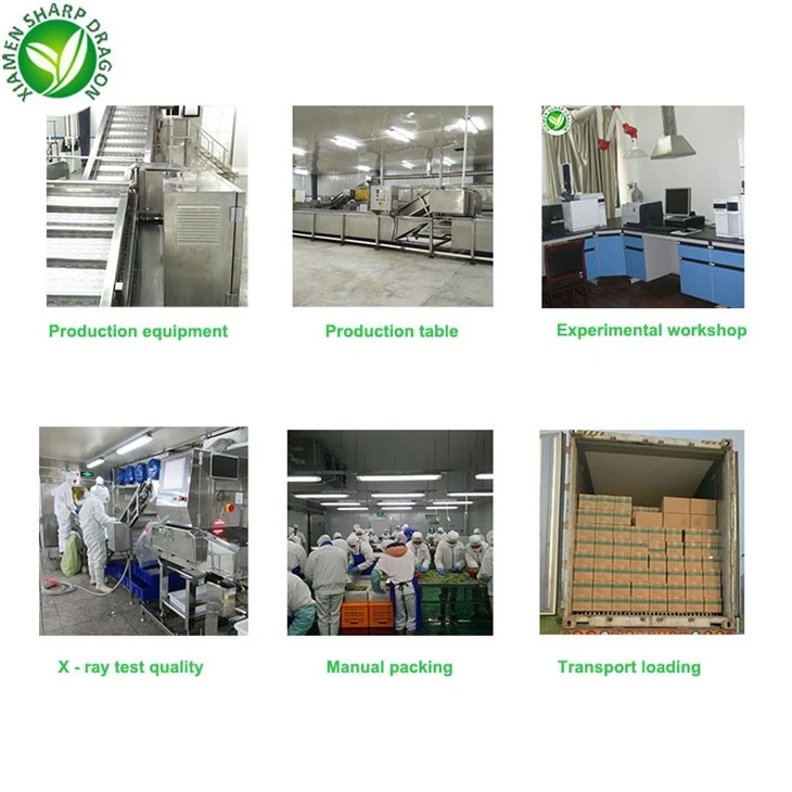 Frozen Broccoli Suppliers