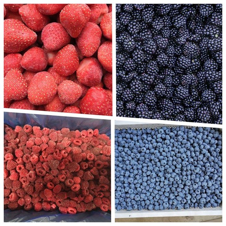Frozen Diced Raspberry supplier